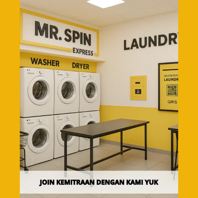 Mr. Spin Franchise